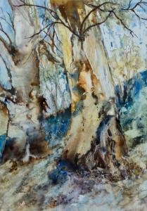Joy Brentwood--Old Friends, Arkaba. Watercolour on Yupo 27 x 40 cm. $700