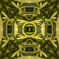 Werner-Theinert- Green-Thing-2-Digital-Inkjet-Print-on-Aluminium-board-120-x-120cm